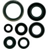 Motor Oil Seals