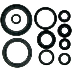 Motor Oil Seals