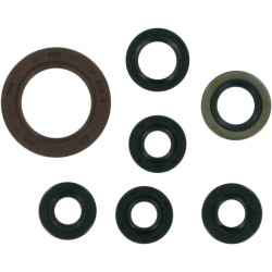 Motor Oil Seals