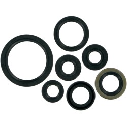 Motor Oil Seals