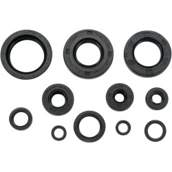 Motor Oil Seals