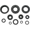 Motor Oil Seals