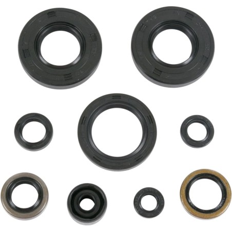 Motor Oil Seals