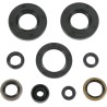 Motor Oil Seals