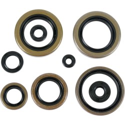 Motor Oil Seals