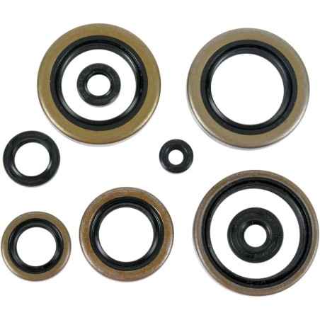 Motor Oil Seals