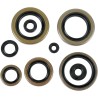 Motor Oil Seals