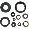 Motor Oil Seals