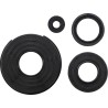 Engine Oil Seal Kit