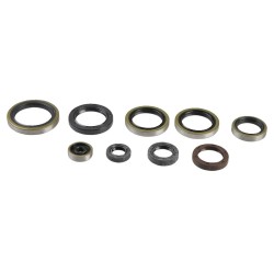 Engine Oil Seal