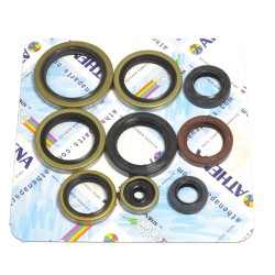Engine Oil Seal