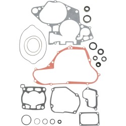 Complete Gasket and Oil Seal Kit