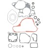 Complete Gasket and Oil Seal Kit