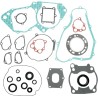 Complete Gasket and Oil Seal Kit