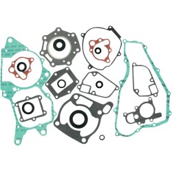 Complete Gasket and Oil Seal Kit