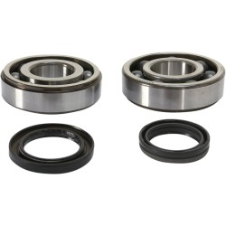 Crankshaft Bearing and Seal Kit