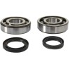 Crankshaft Bearing and Seal Kit