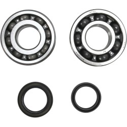 Crankshaft Bearing and Seal Kit