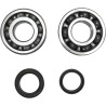 Crankshaft Bearing and Seal Kit