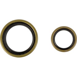 Crankshaft Oil Seal Kit