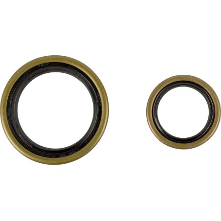 Crankshaft Oil Seal Kit