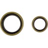Crankshaft Oil Seal Kit