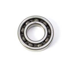 Main Bearing (Individual)