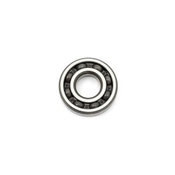 Main Bearing (Individual)