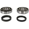 Crankshaft Bearing and Seal Kit