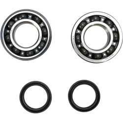Crankshaft Bearing and Seal Kit