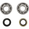 Crankshaft Bearing and Seal Kit
