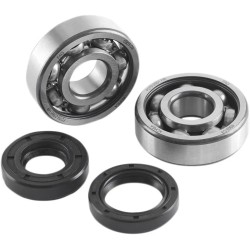 Crank Bearing   Seal Kit