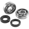 Crank Bearing   Seal Kit