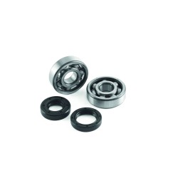 Crank Bearing   Seal Kit