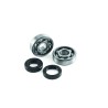 Crank Bearing   Seal Kit