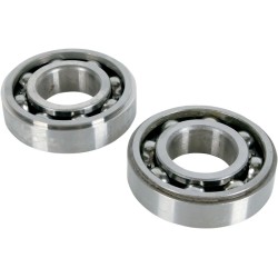 Main Crankshaft Bearing and Seal Kit