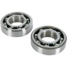 Main Crankshaft Bearing and Seal Kit