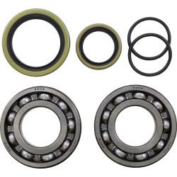 Crank Bearing and Seal Kit