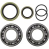 Crank Bearing and Seal Kit