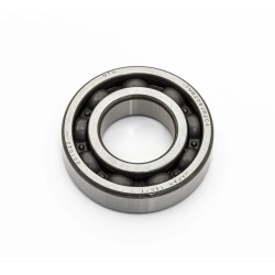 Main Bearing (Individual)