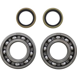 Crank Bearing and Seal Kit