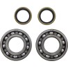 Crank Bearing and Seal Kit