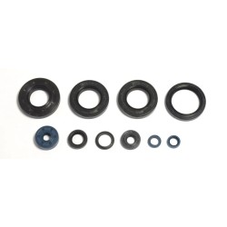 Engine Oil Seal