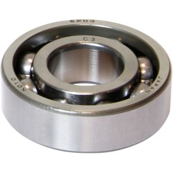 Main Bearing (Individual)