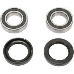 Wheel Bearing and Seal Kit