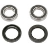 Wheel Bearing and Seal Kit