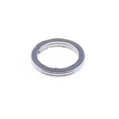 Exhaust Gasket