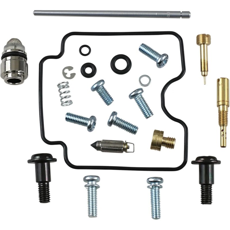 Carburetor Repair Kit