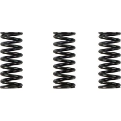 Clutch Spring Kit
