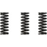 Clutch Spring Kit